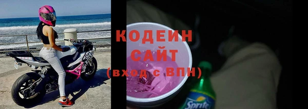 apvp Вяземский