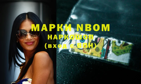 apvp Вяземский