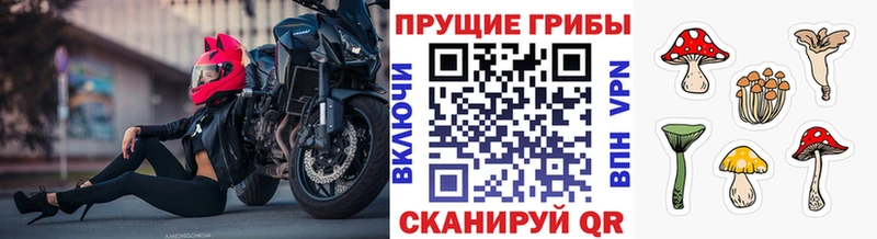 Галлюциногенные грибы MAGIC MUSHROOMS  Муром 
